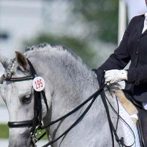 Sport Equestri - Dressage